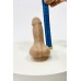 Packer AllDay (5em1) - 10cm